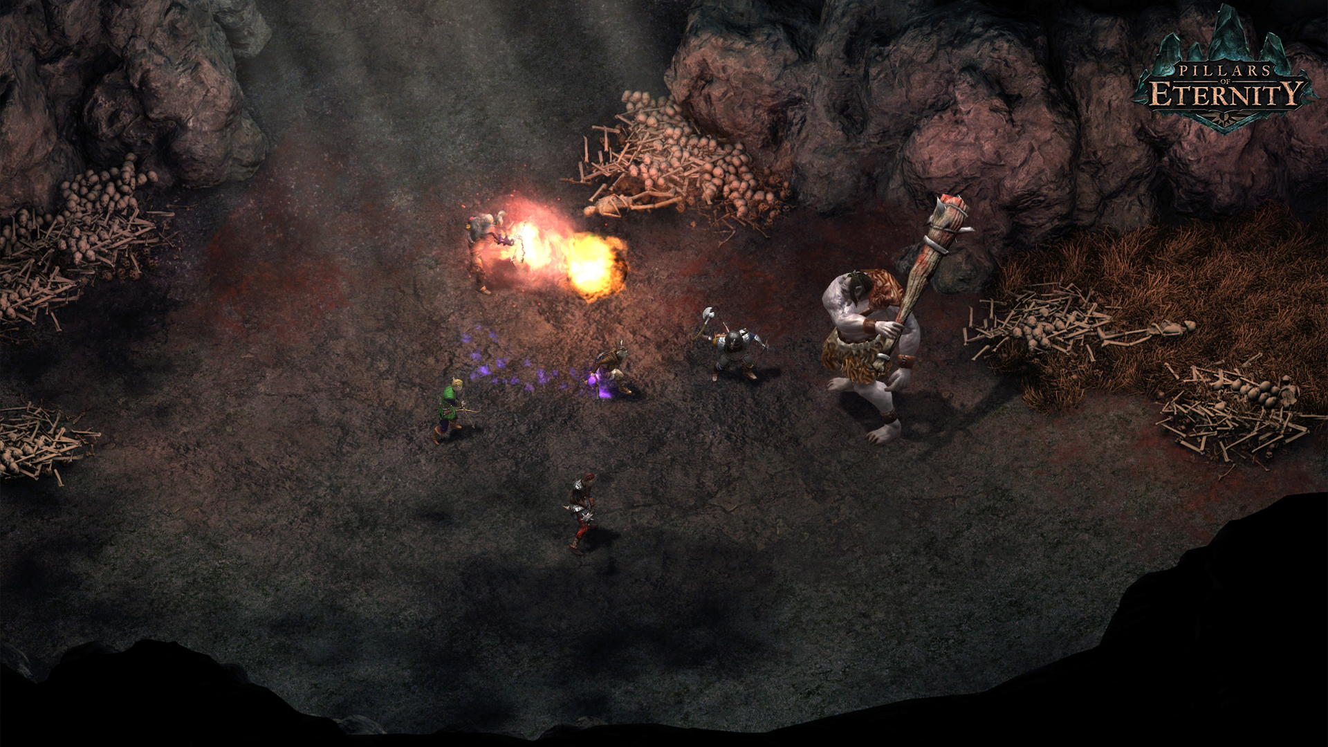 永恒之柱/Pillars of Eternity-6