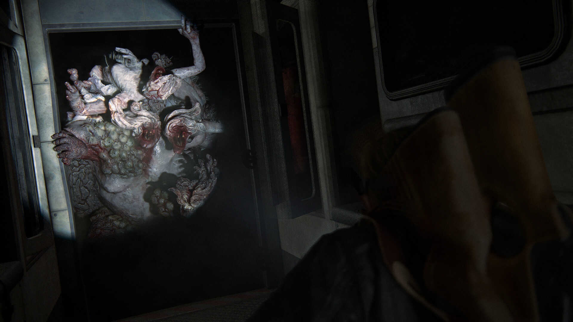 最后生还者2：重制版/美国末日2/The Last of Us Part II Remastered-6