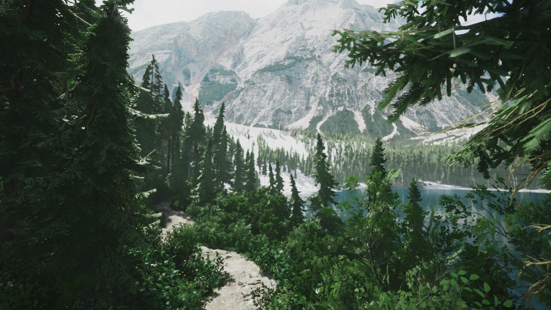 模拟美景摄影/Lushfoil Photography Sim-1