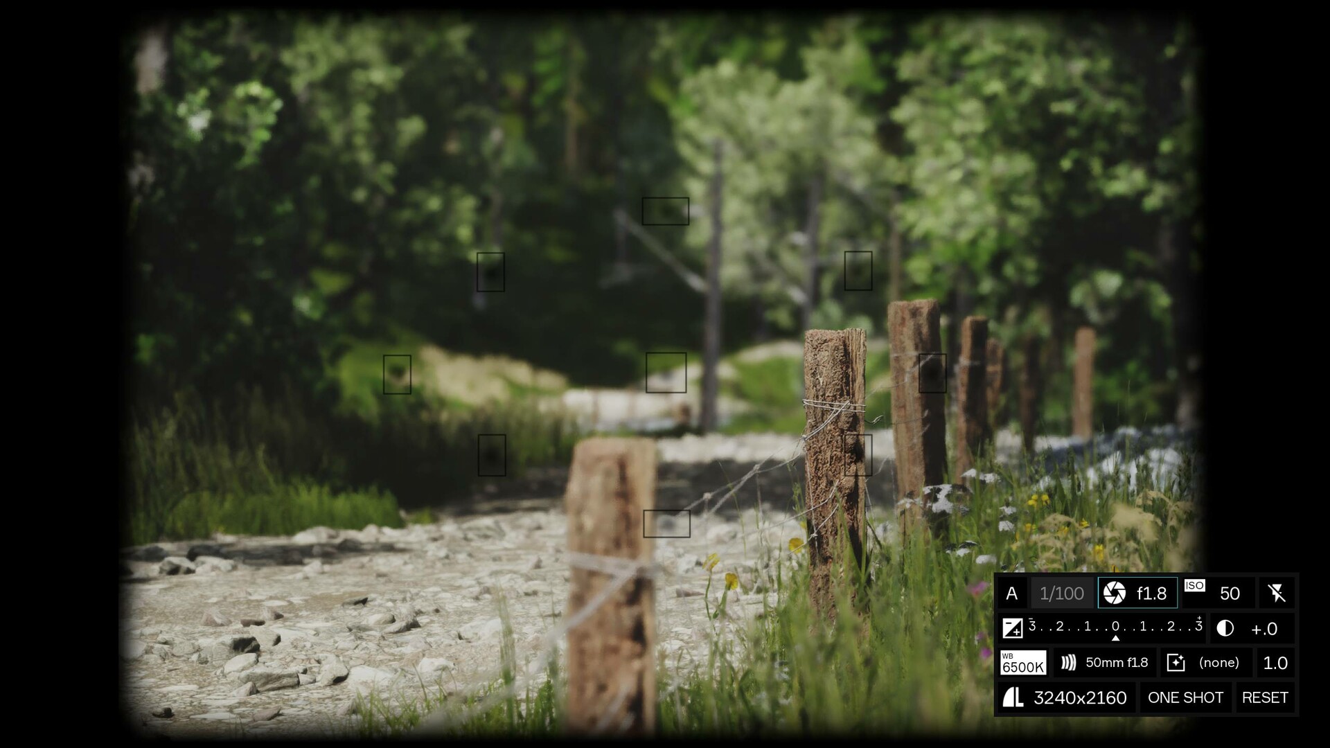 模拟美景摄影/Lushfoil Photography Sim-4