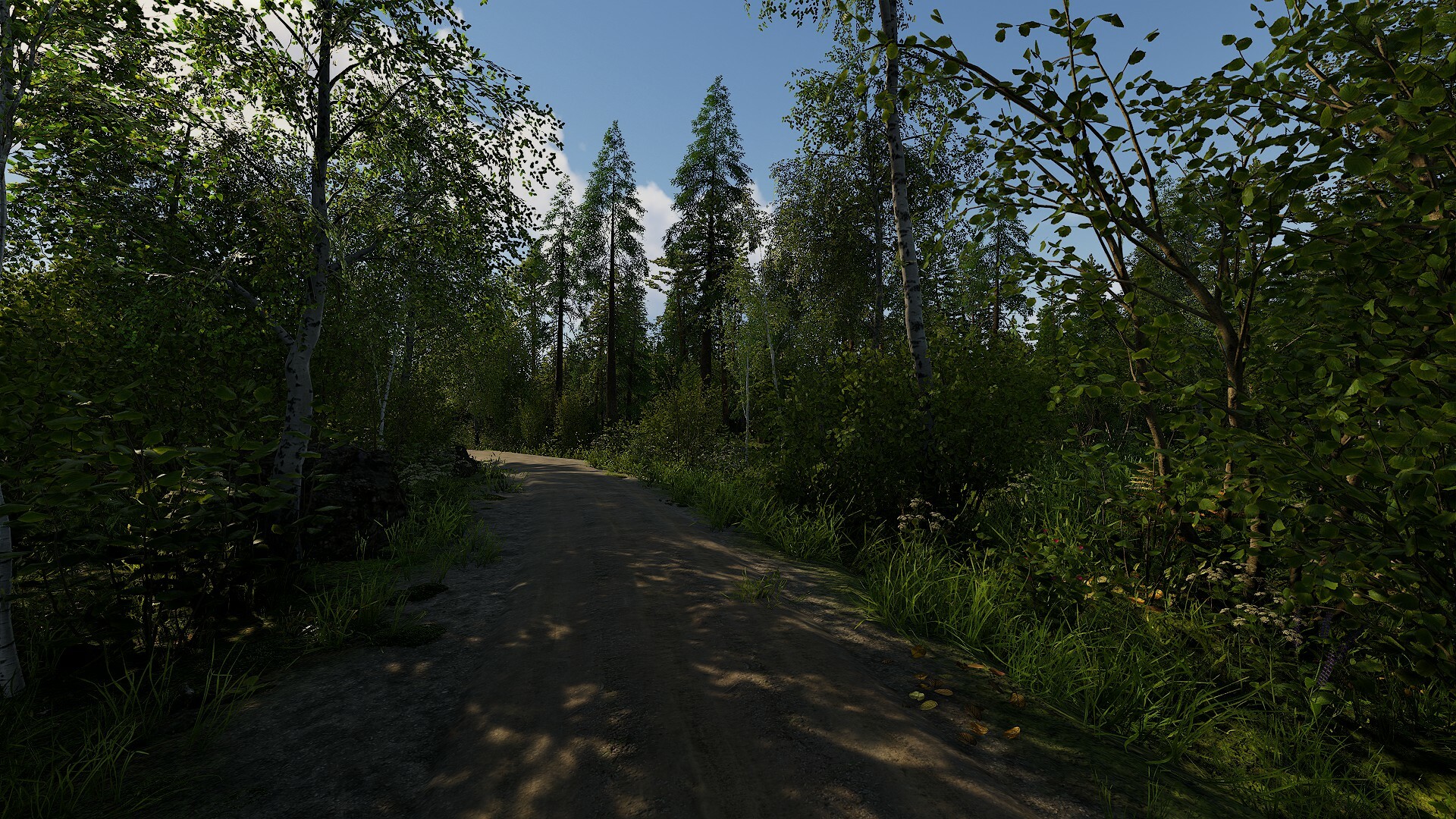 芬兰小屋模拟器/Finnish Cottage Simulator-3