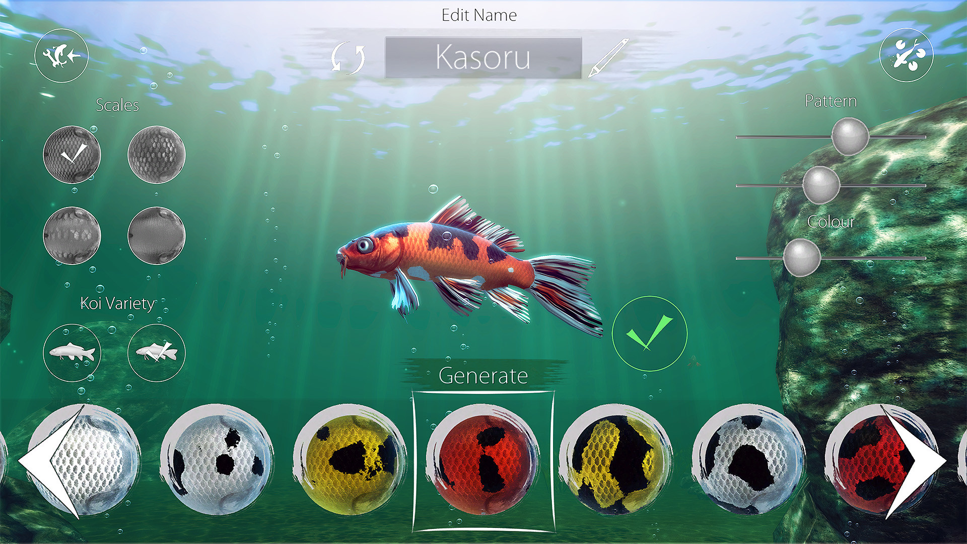 我的锦鲤/My Koi-3