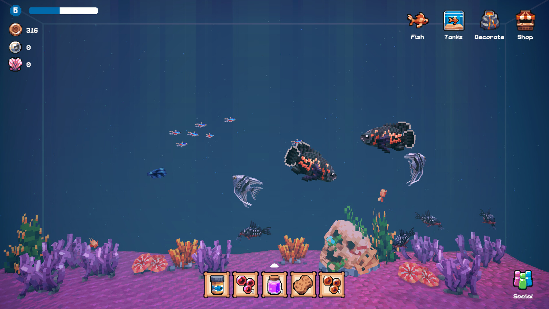 全球鱼友俱乐部：放置好时光/Tiny Aquarium: Social Fishkeeping-5
