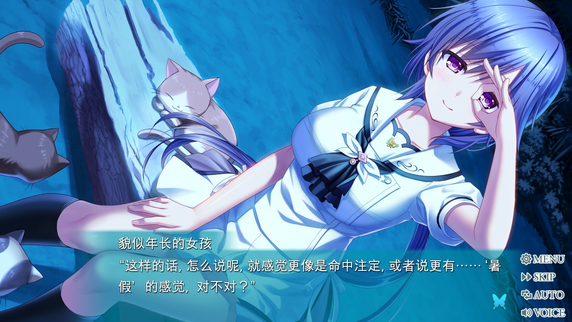 夏日口袋：流光蓝/Summer Pockets REFLECTION BLUE-6