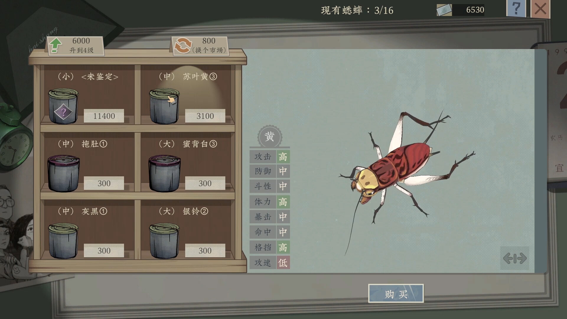 沉默的蟋蟀-3