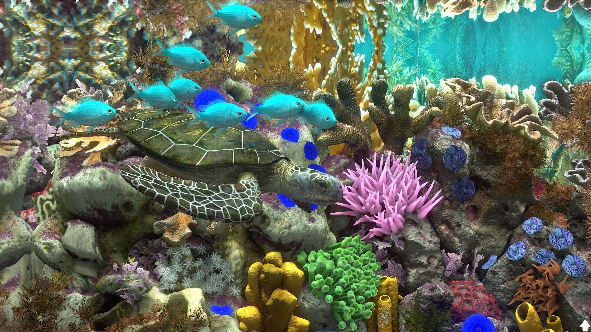 玻璃背后：水族馆模拟器/Behind Glass: Aquarium Simulator-2