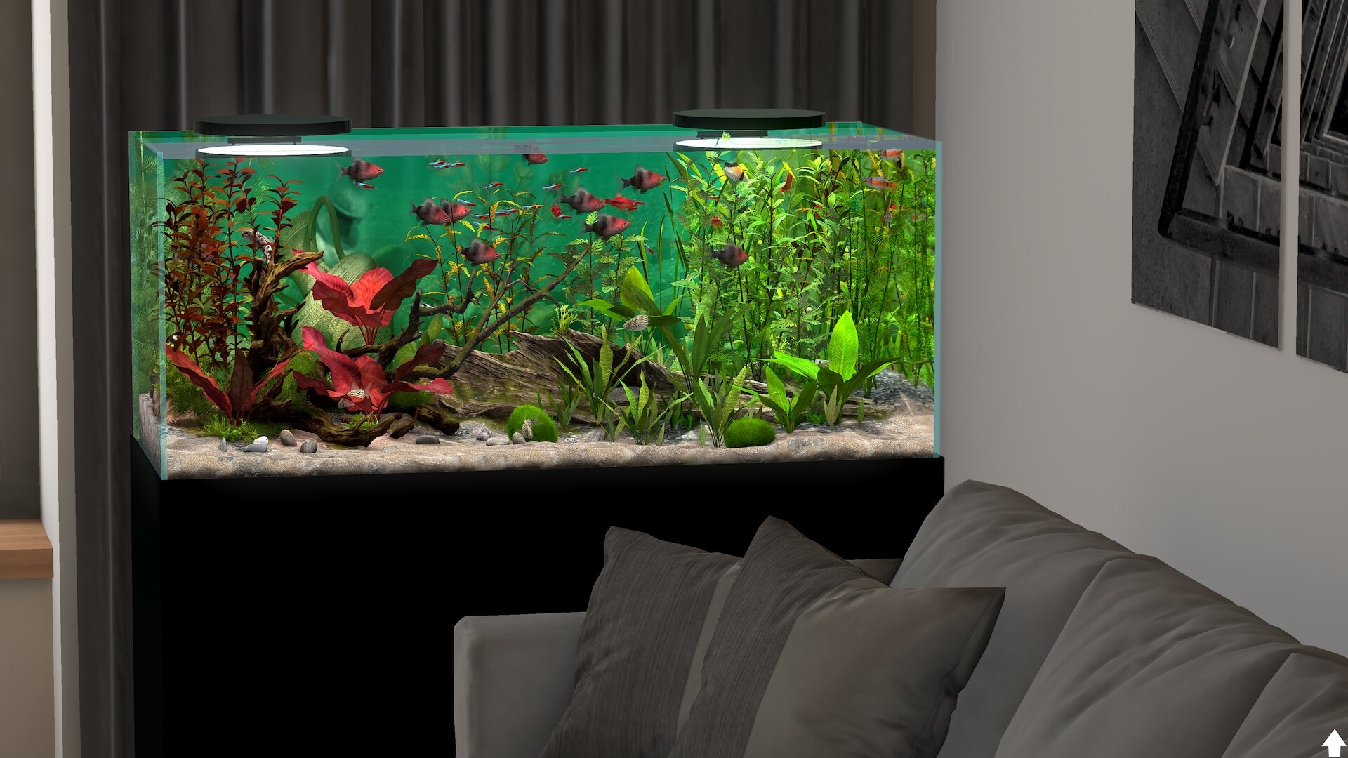 玻璃背后：水族馆模拟器/Behind Glass: Aquarium Simulator-3