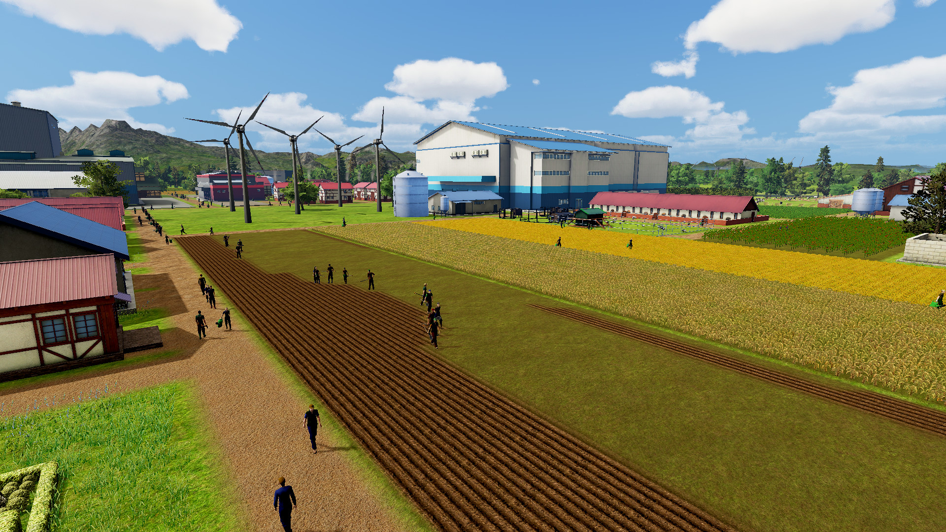 农场经理2018/Farm Manager 2018-5
