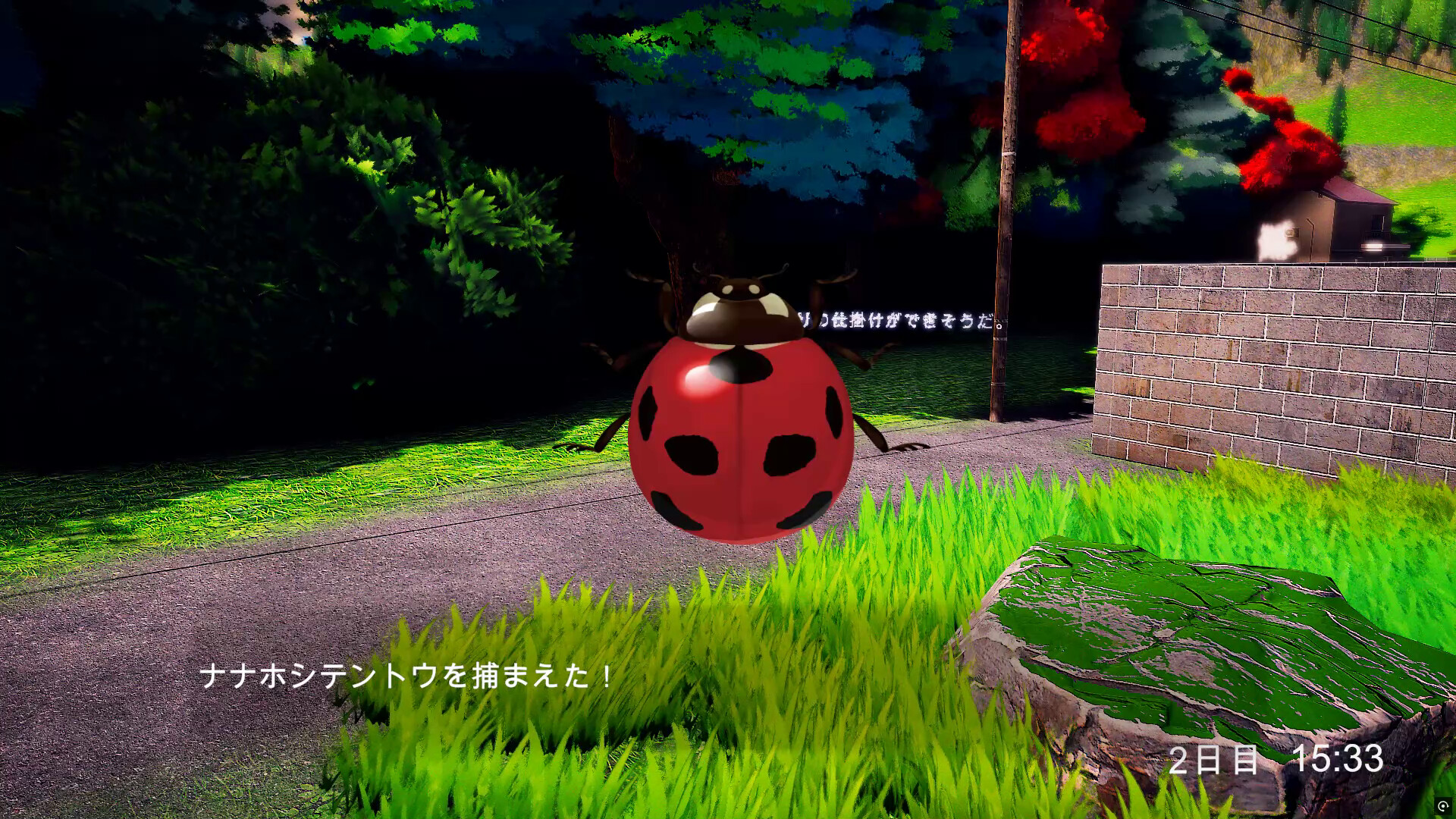 6天/6days-5