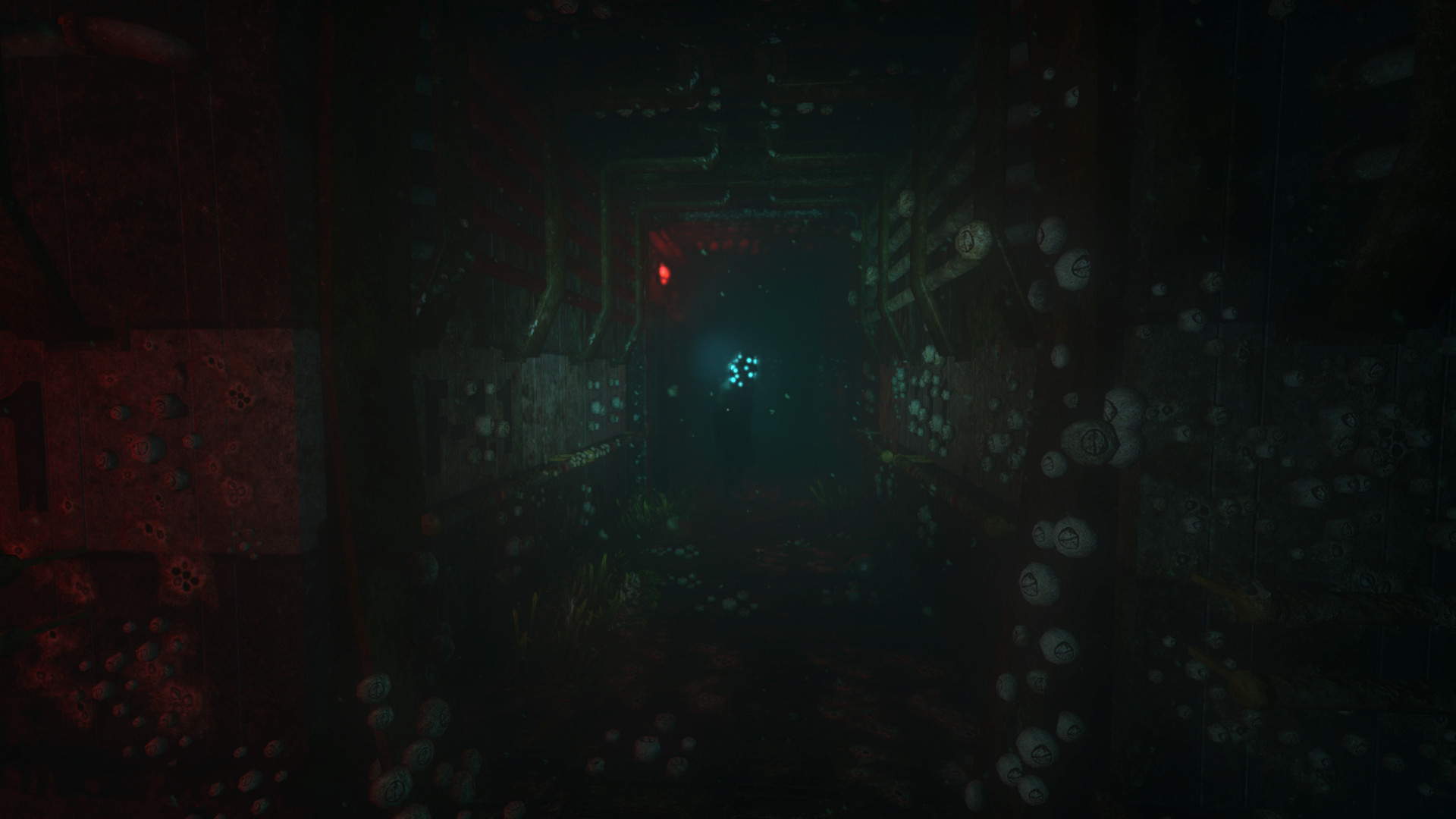 活体脑细胞/SOMA-8