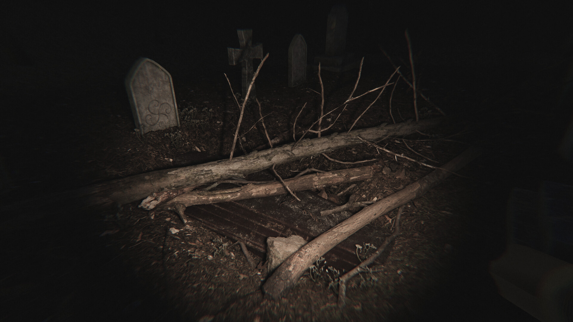 寂静死寂：诅咒回响/Dead Silence - Echoes of the Damned-6
