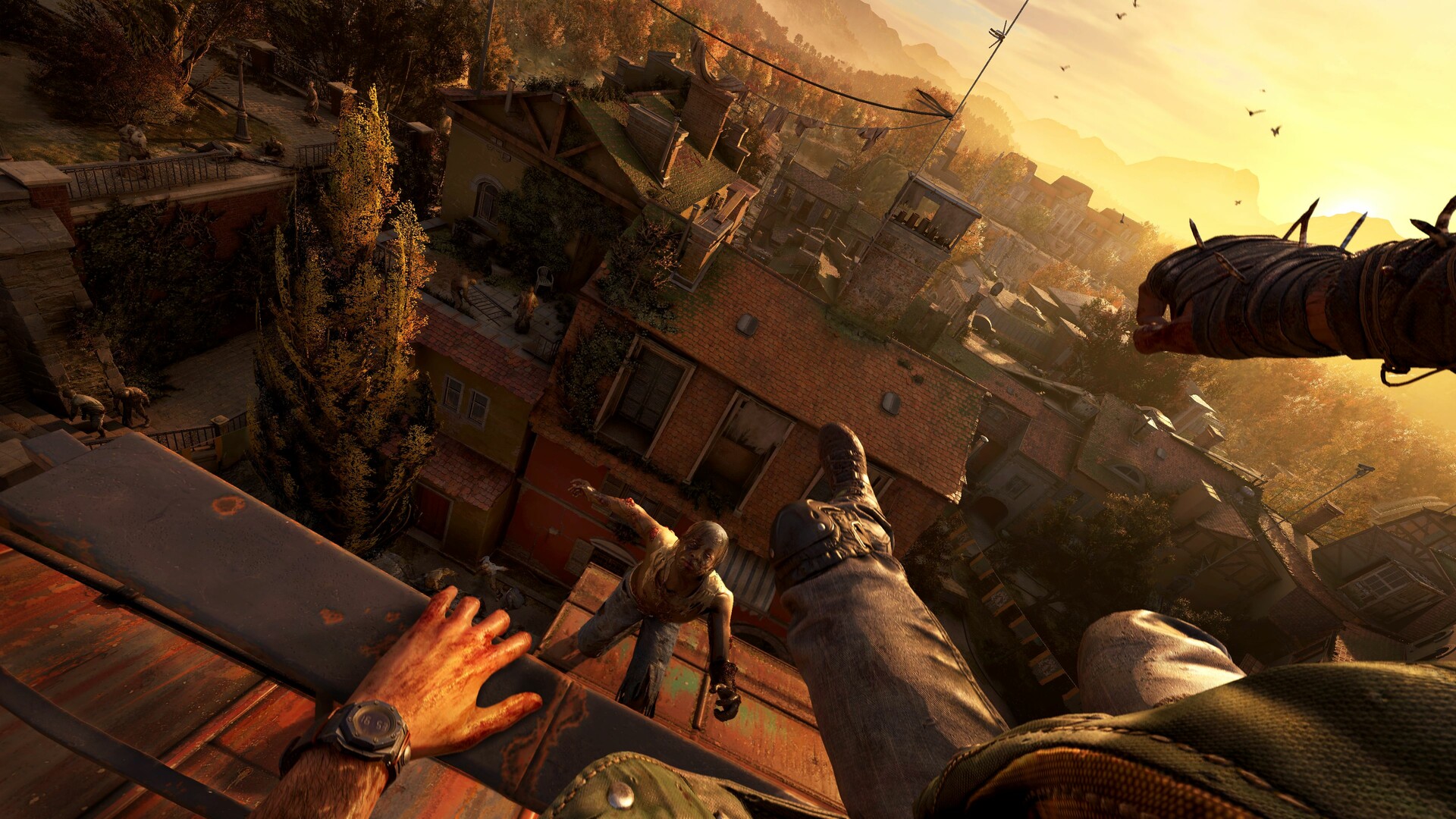 消逝的光芒：困兽/Dying Light: The Beast-6