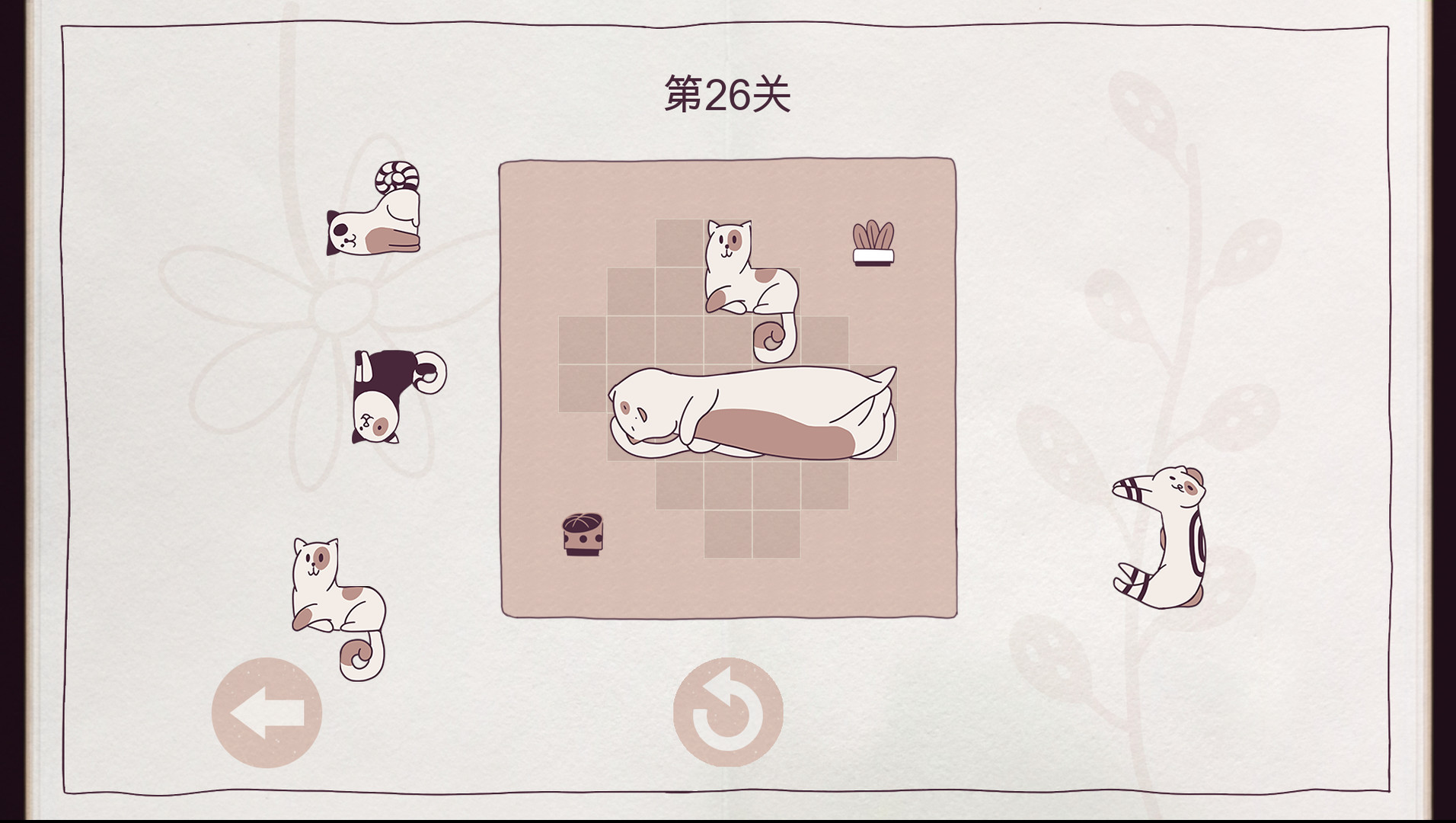 井然有猫/Cats Organized Neatly-2