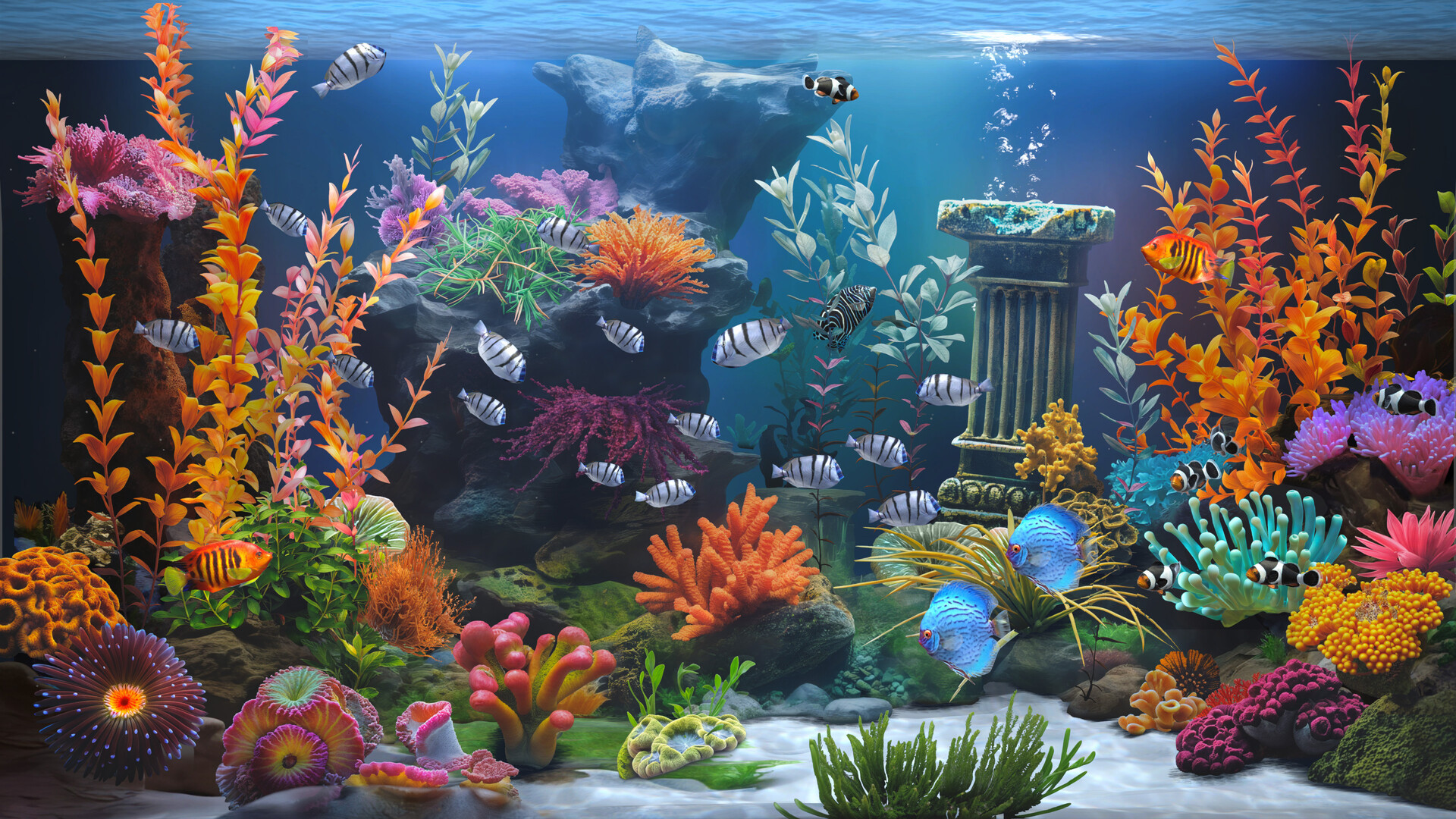 禅意水族馆/Zen Aquarium-5