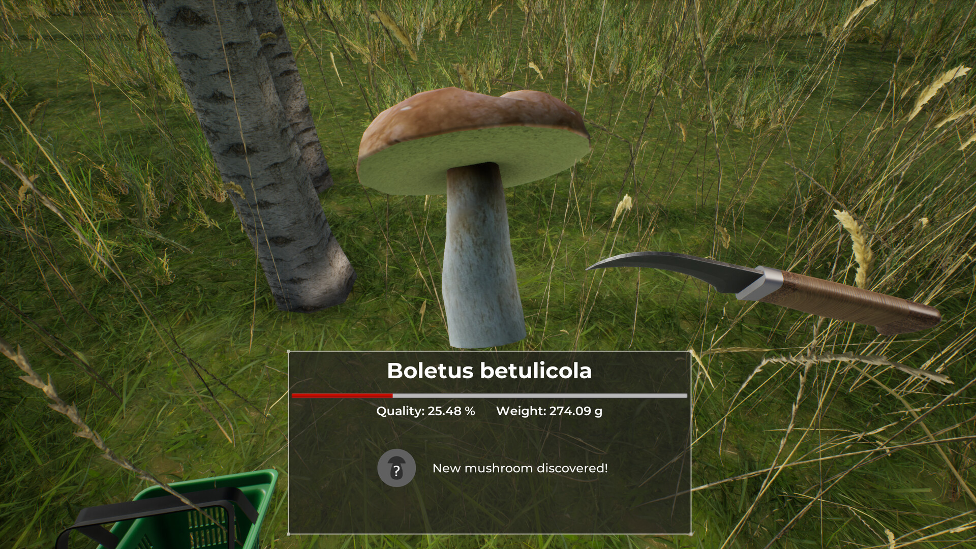 蘑菇猎人世界/Mushroom Hunter World-2