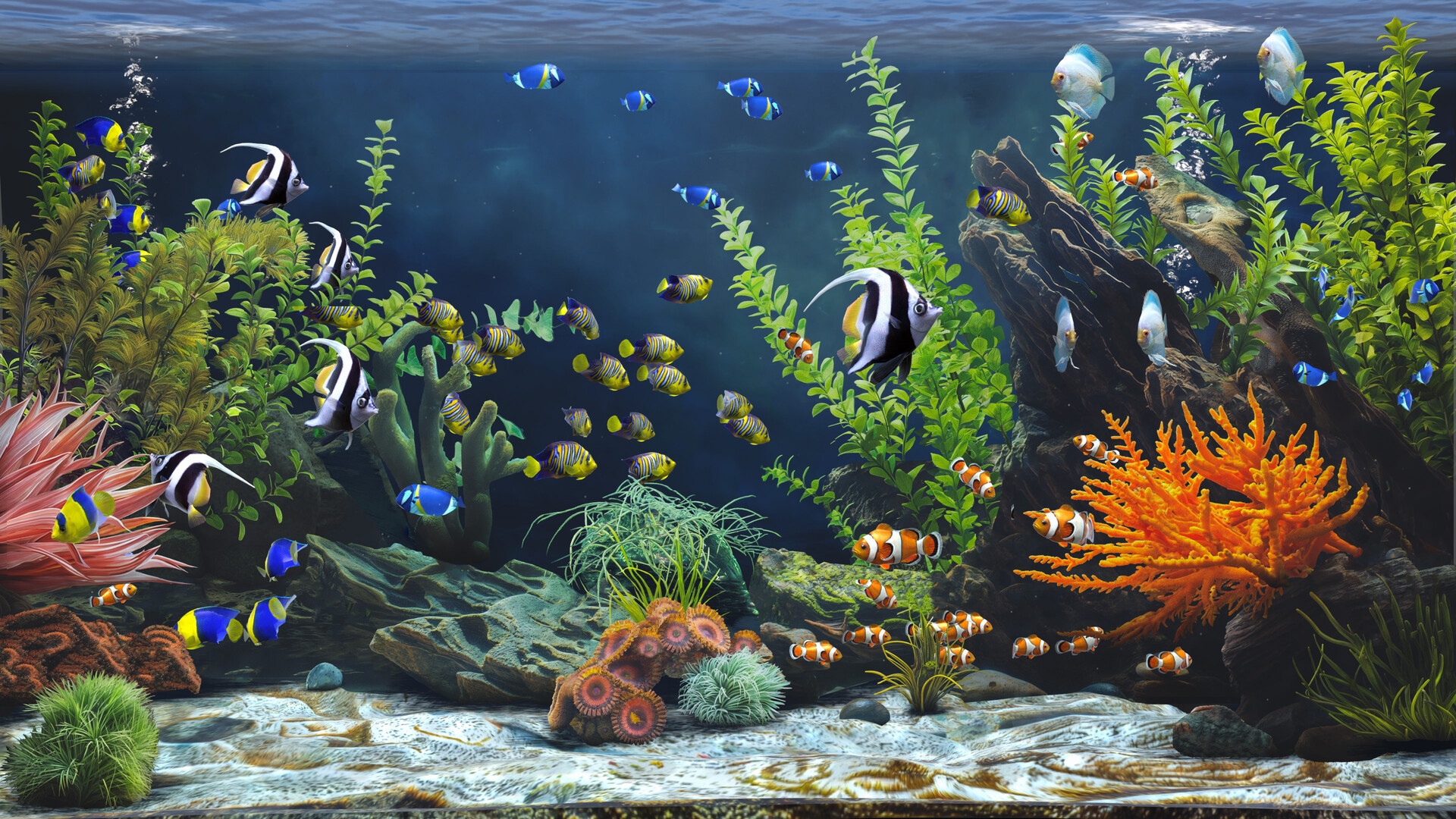 禅意水族馆/Zen Aquarium-3
