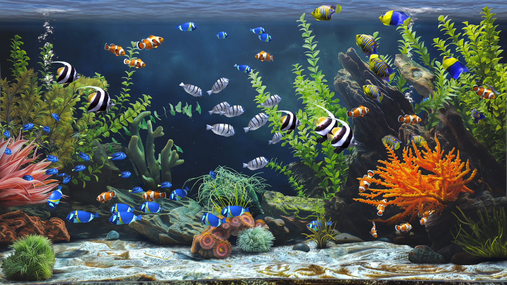 禅意水族馆/Zen Aquarium-6
