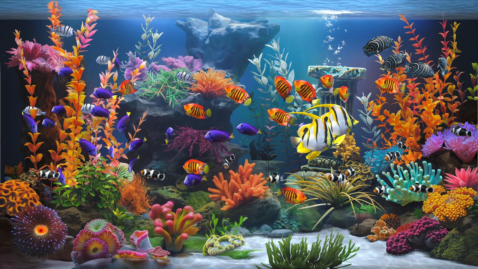 禅意水族馆/Zen Aquarium-1