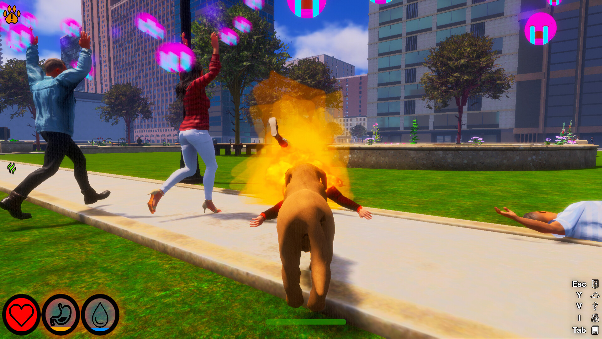 迷途狗爪/Lost Paws-3