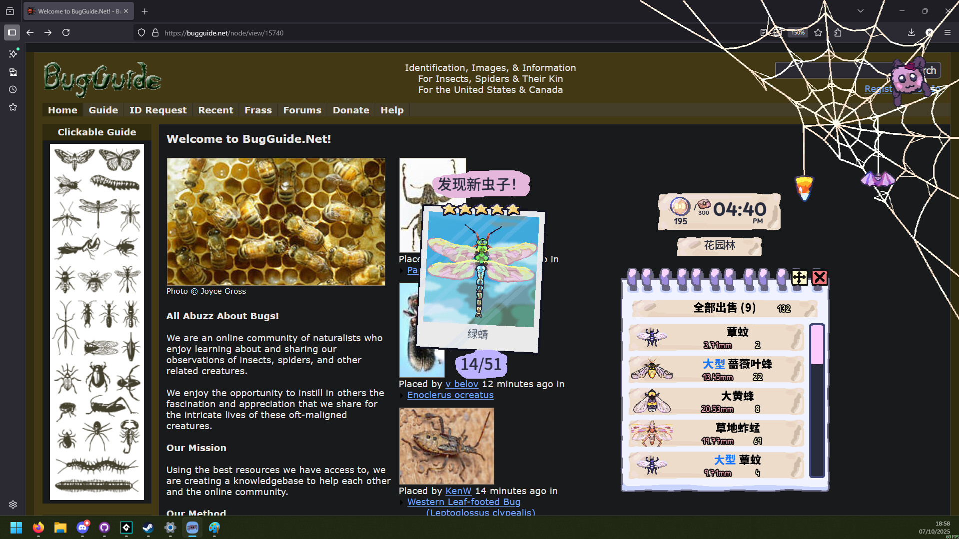 我的小小蜘蛛/My Little Spider-4 我的小小蜘蛛/My Little Spider-4