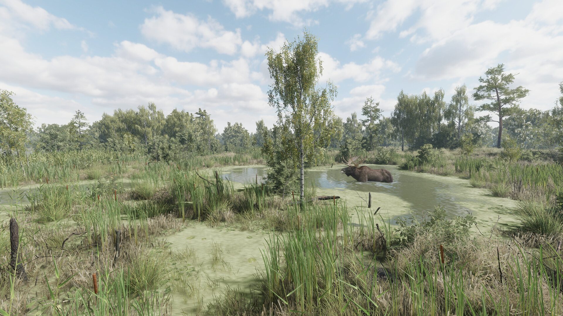 猎捕行动/On the Hunt-4