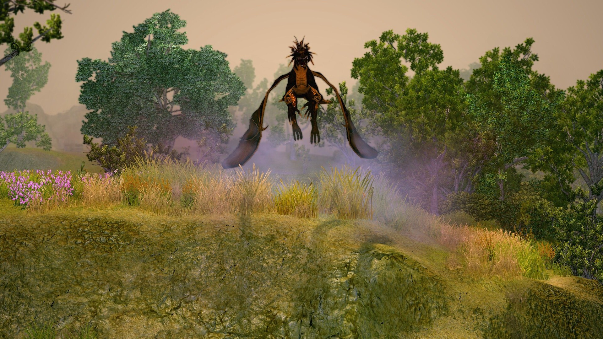 圣域2：重制版/Sacred 2 Remaster-1