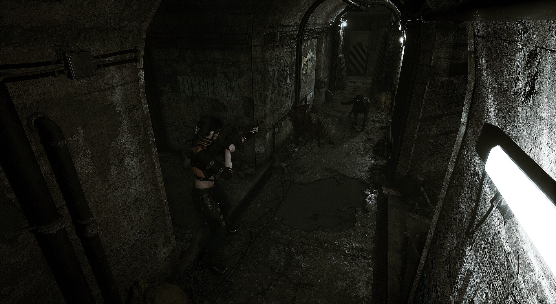 生者回响/Echoes of the Living-6