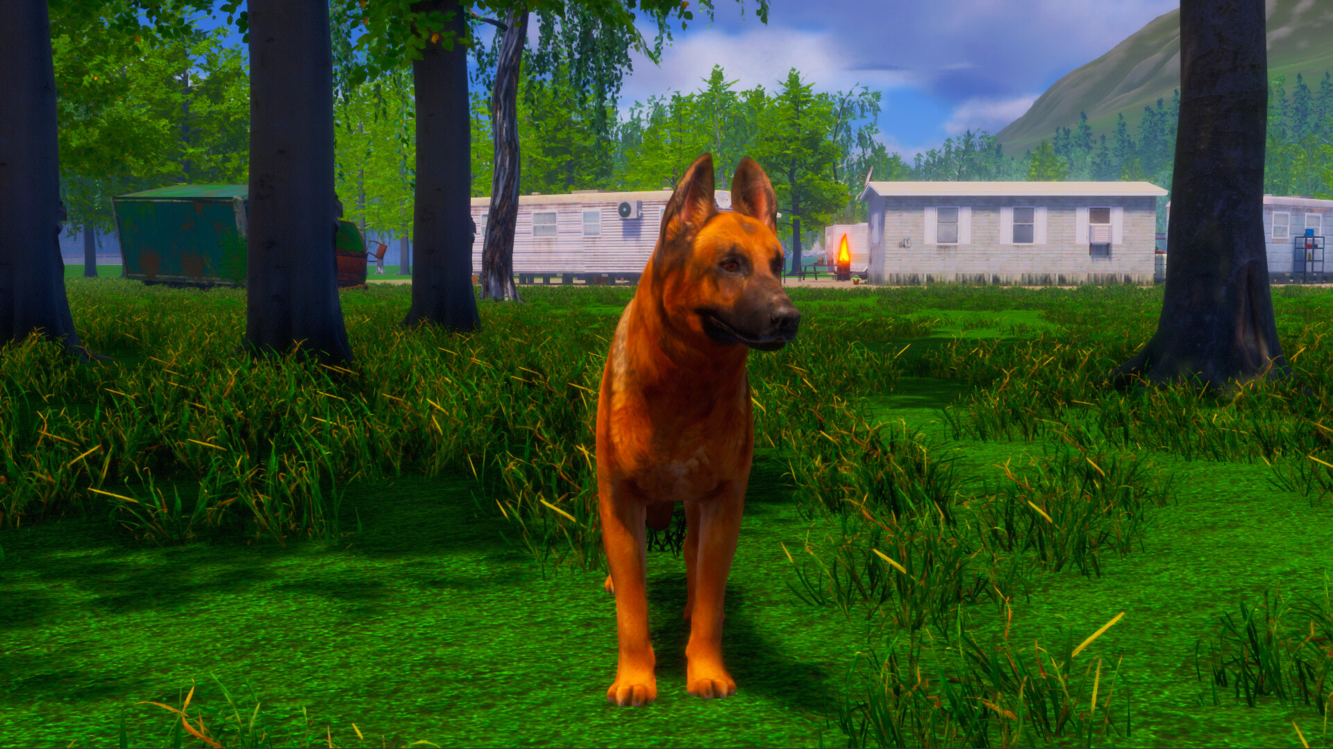 迷途狗爪/Lost Paws-4