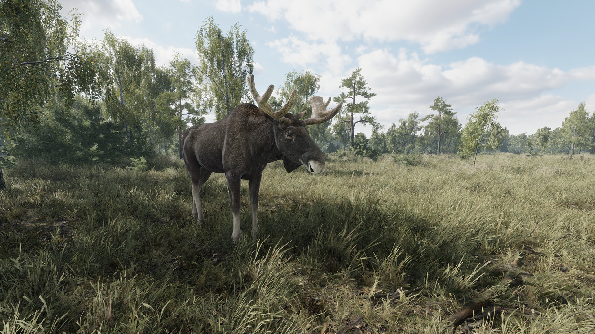 猎捕行动/On the Hunt-2