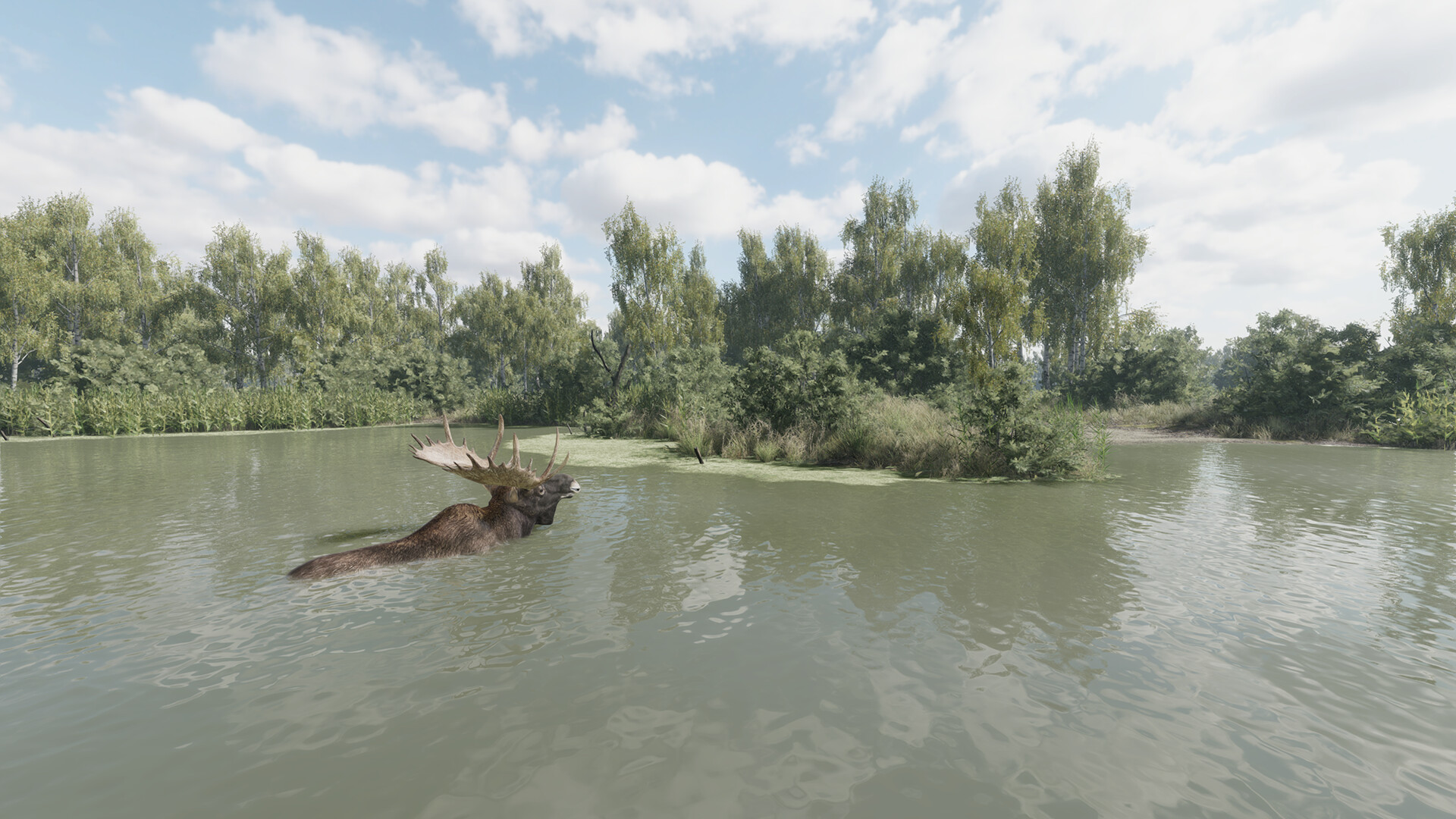 猎捕行动/On the Hunt-6