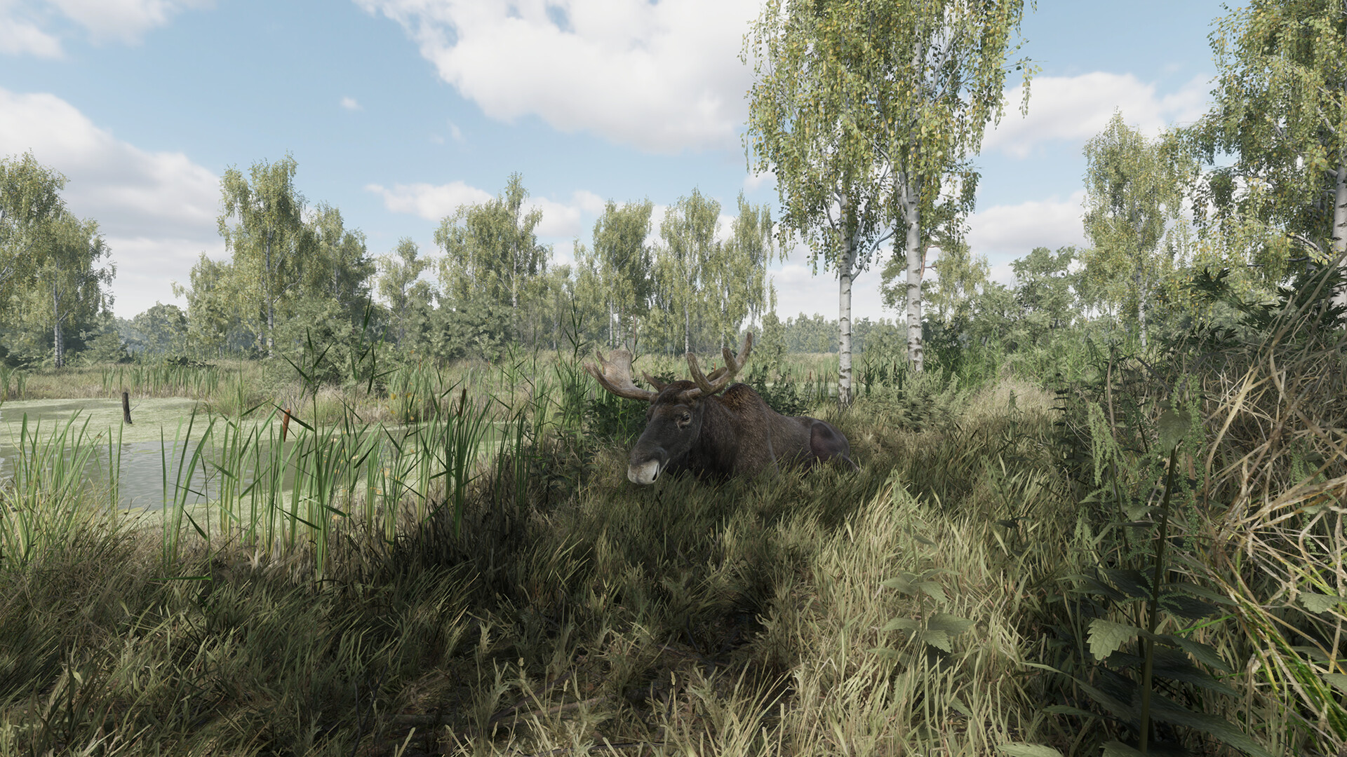 猎捕行动/On the Hunt-3