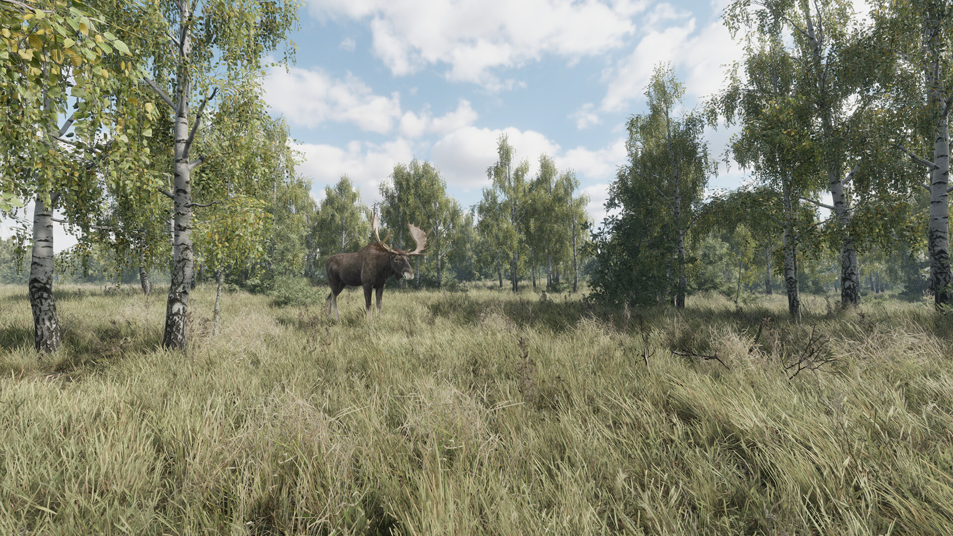 猎捕行动/On the Hunt-1