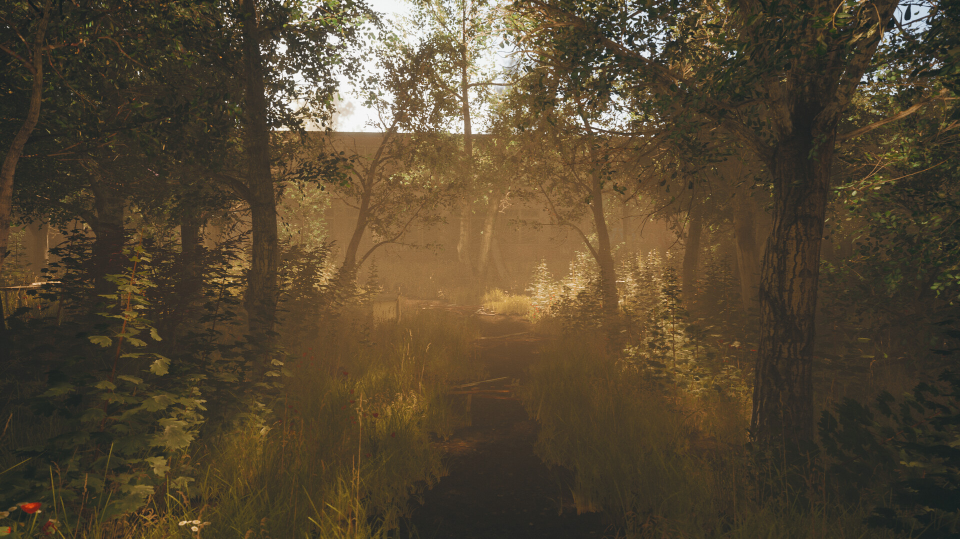 我的碎片/Pieces of me-5