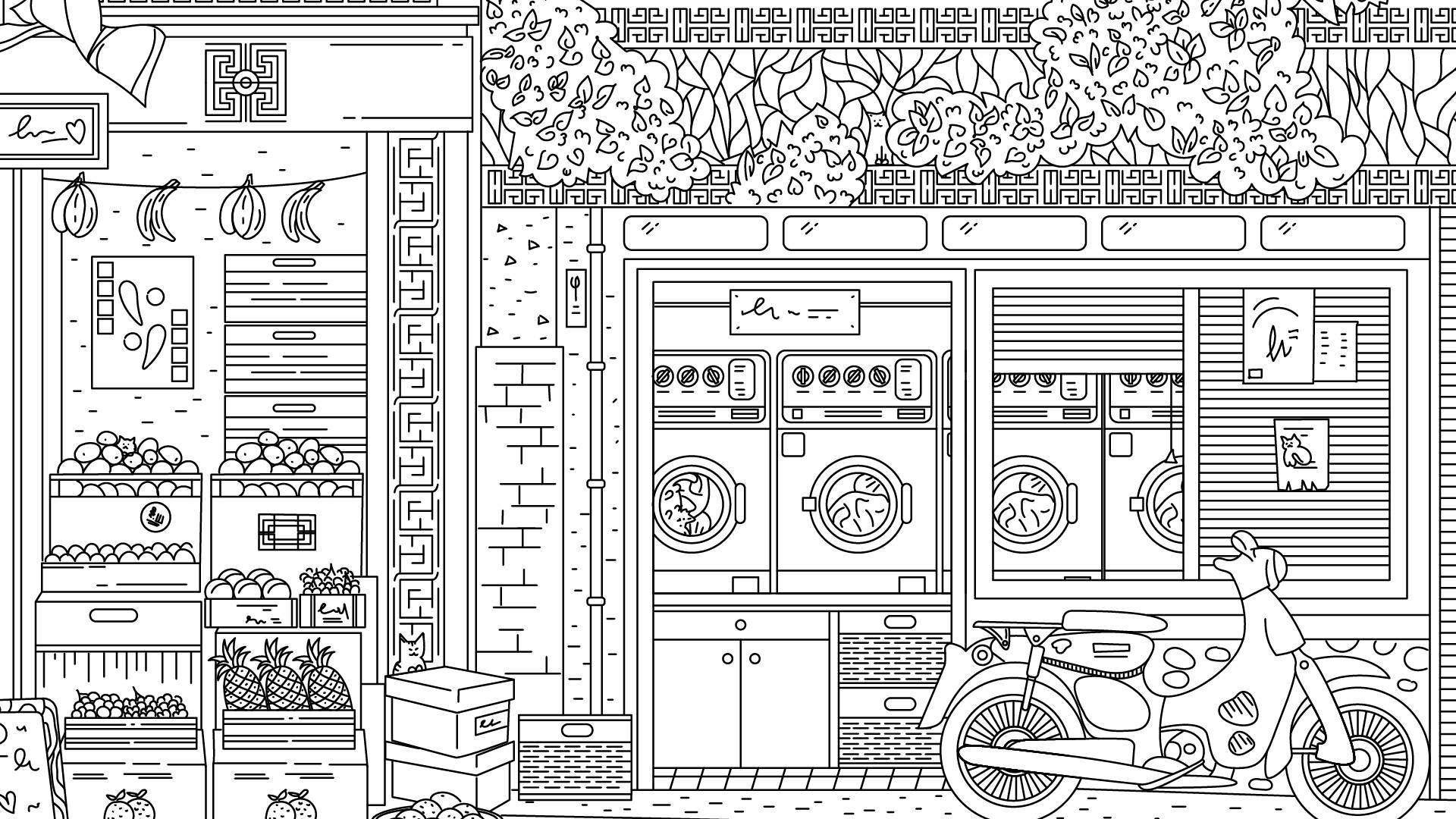 隐藏在中国的猫/Cats Hidden in China-3