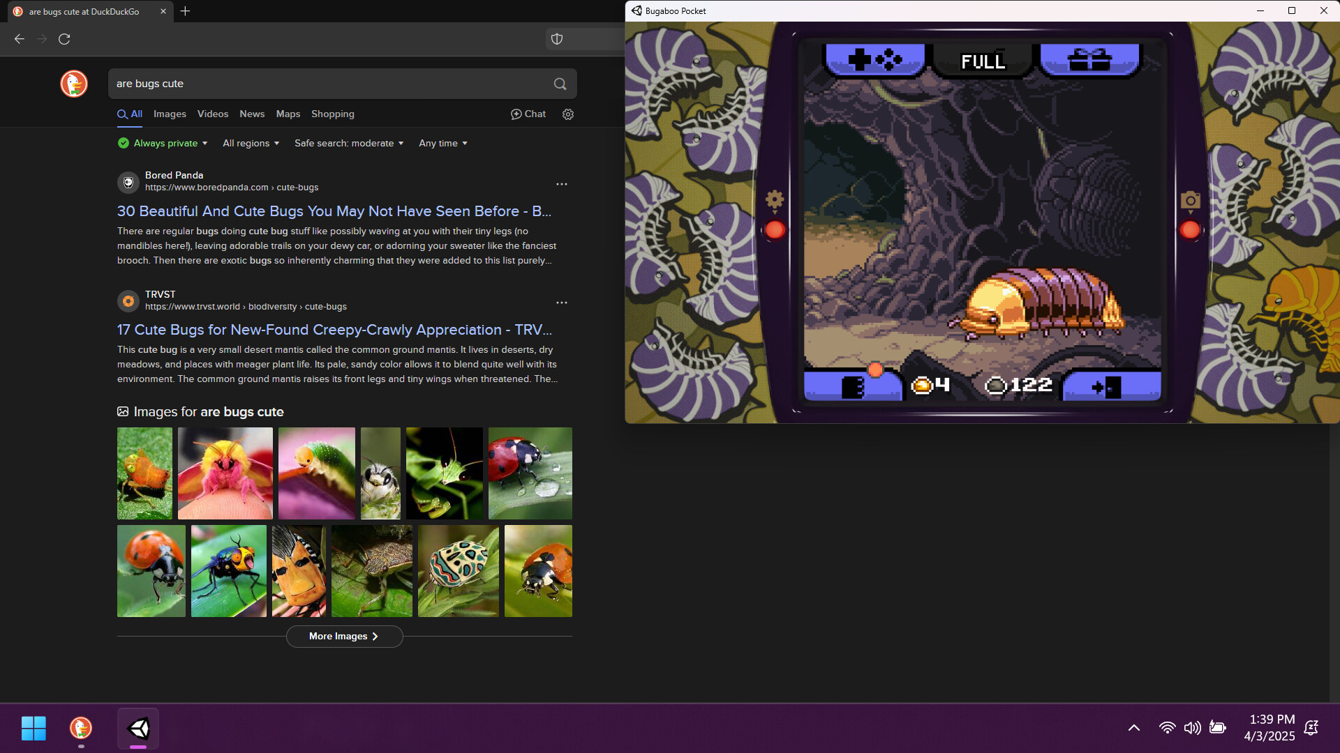 昆虫观察日记/Bugaboo Pocket-2 昆虫观察日记/Bugaboo Pocket-2