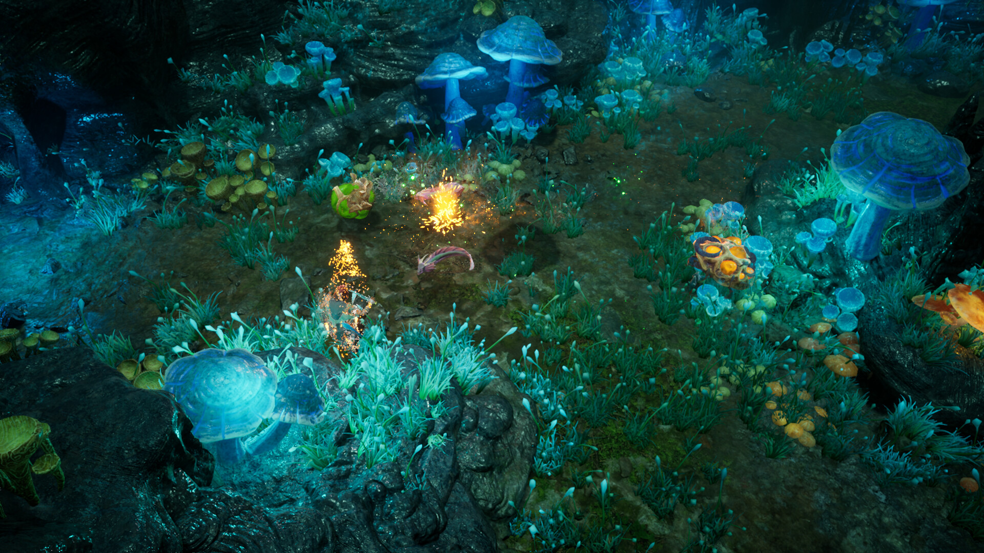 再次崛起/Rise Again-3