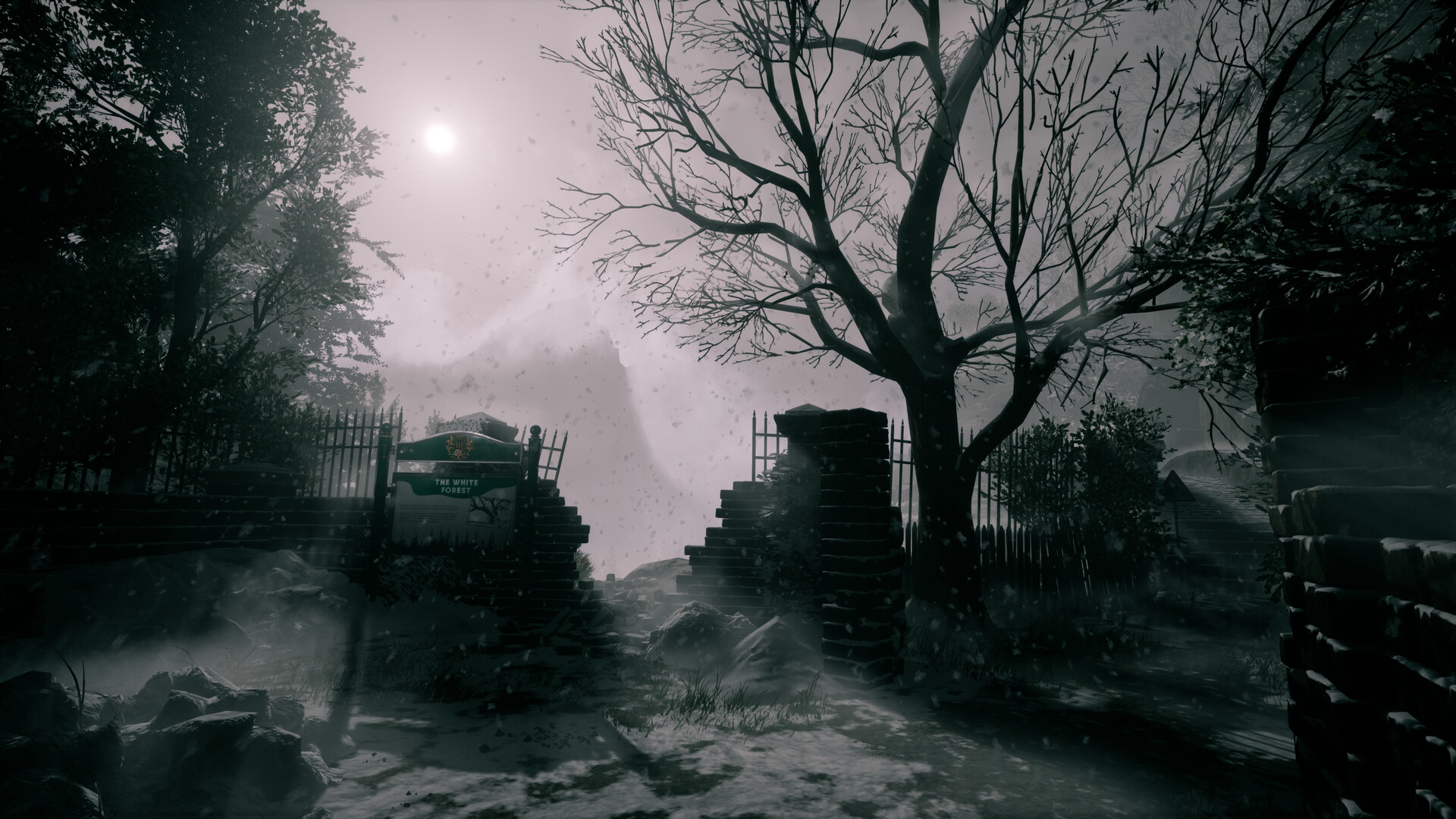 她要离开/She\'s Leaving-1