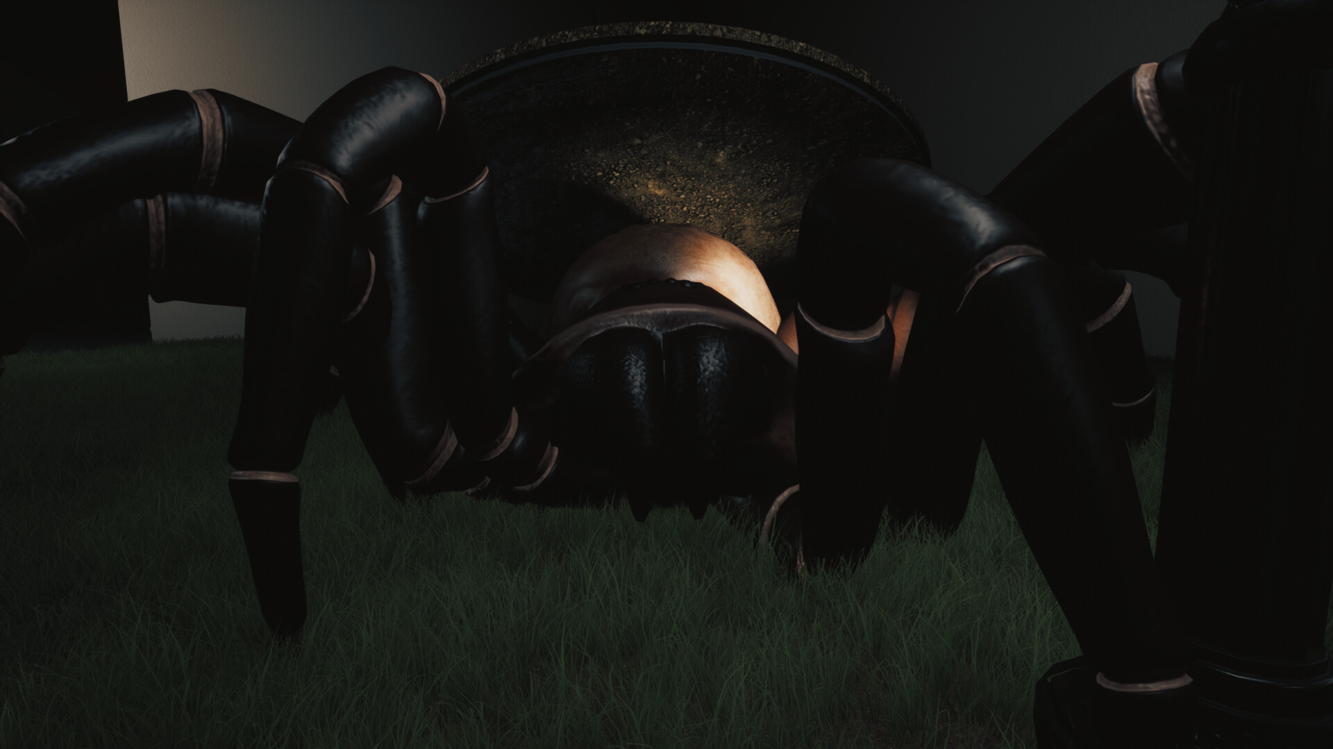 巨蛛猎手/Huntsman-6