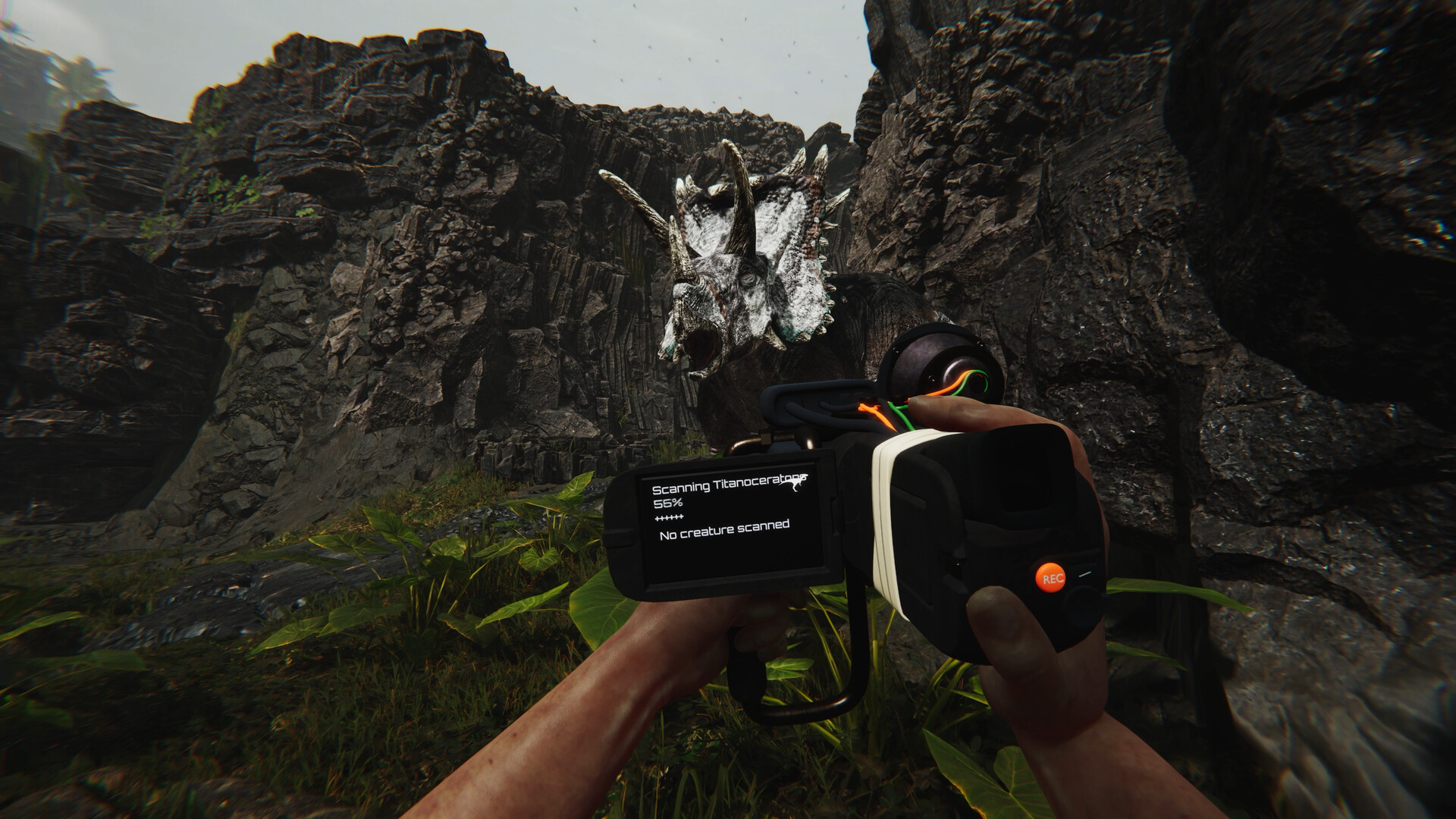 蛮荒计划/FEROCIOUS-5 蛮荒计划/FEROCIOUS-5