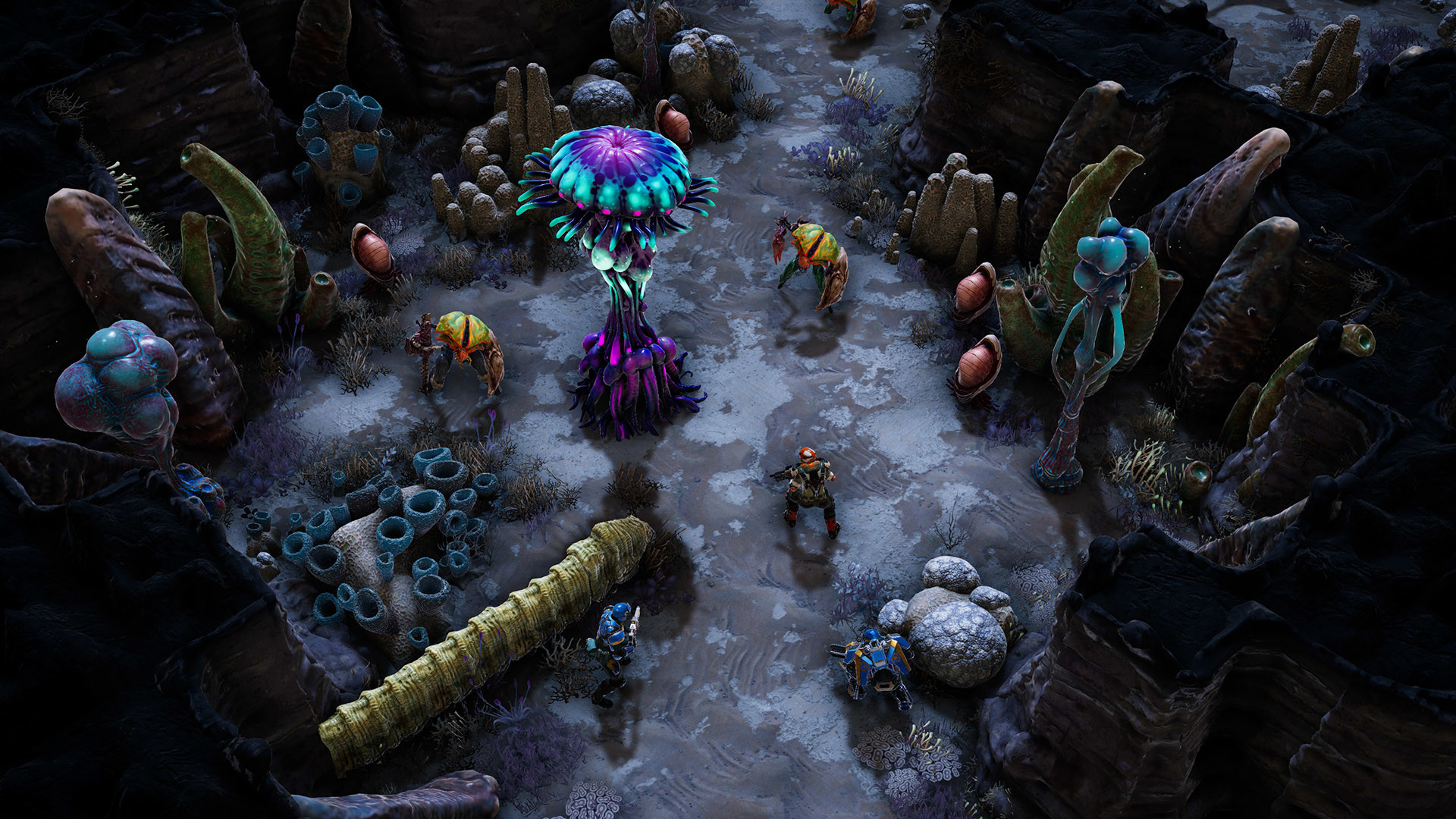 凤凰点：周年版/Phoenix Point: Year One Edition-8