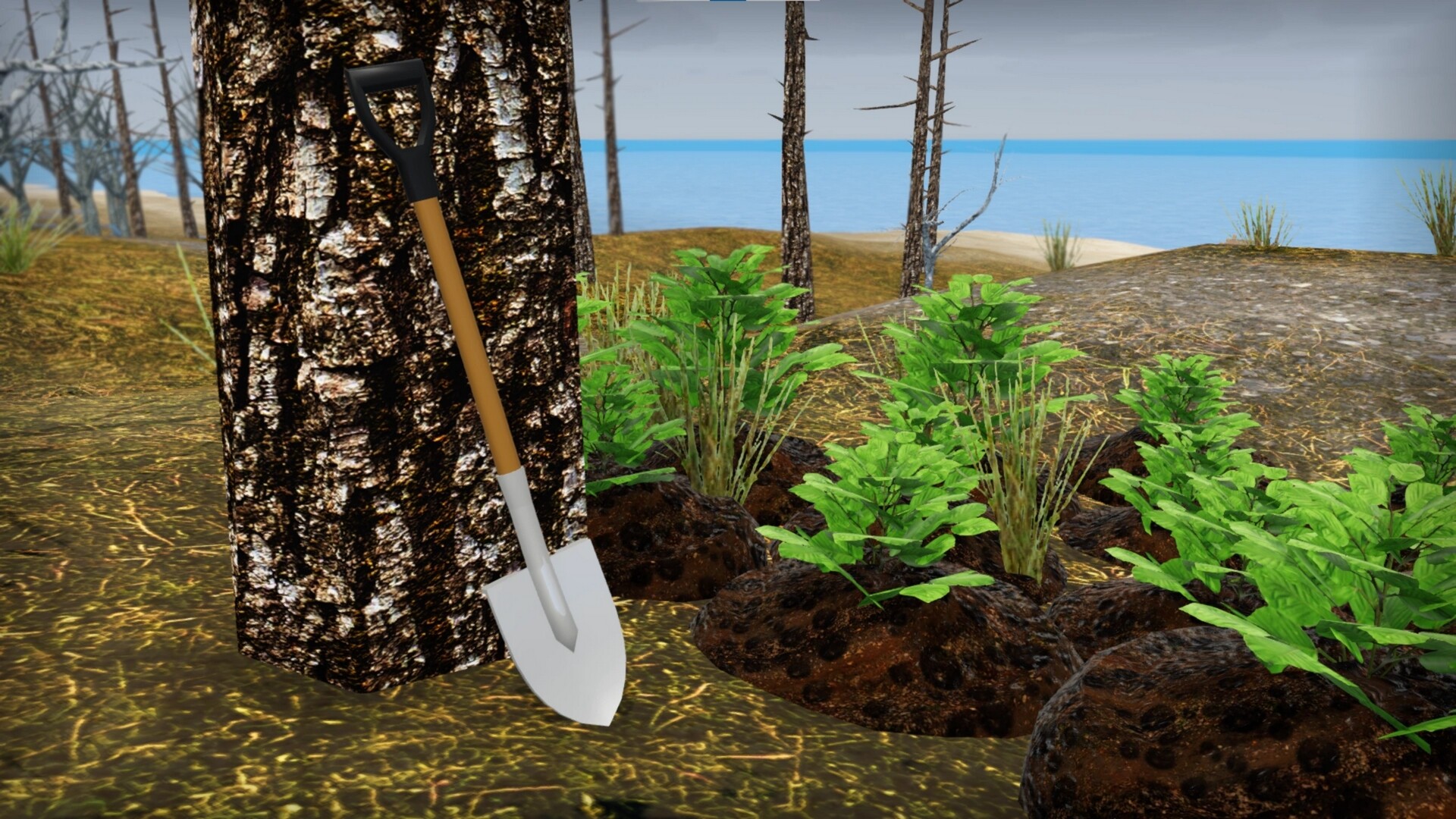 我的破车/Mon Bazou-3