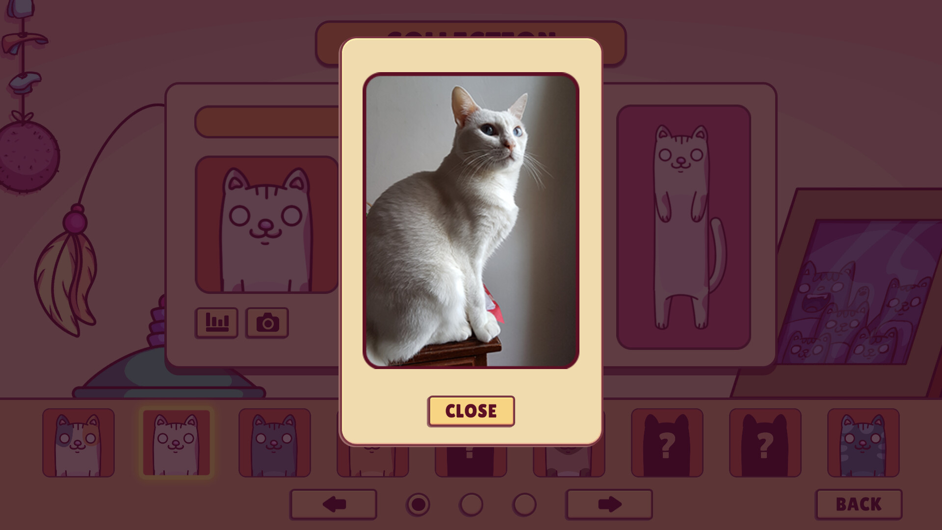 蓬戈/Pungo-6 蓬戈/Pungo-6